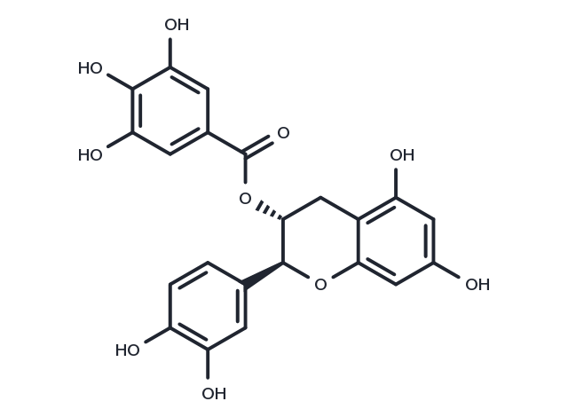 (-)-Catechin gallate Chemical Structure
