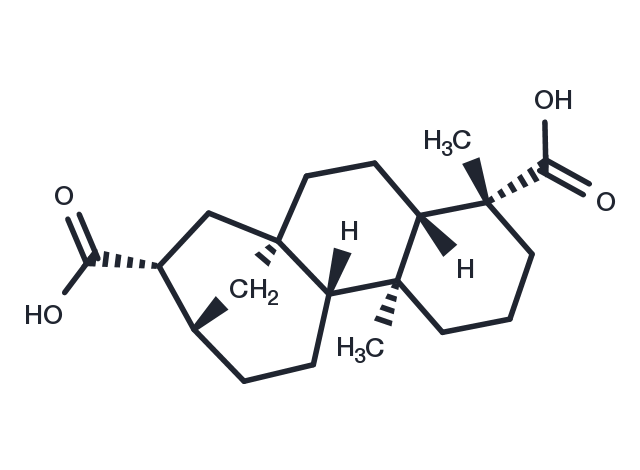 TargetMol Chemical Structure ent-Kauran-17,19-dioic acid