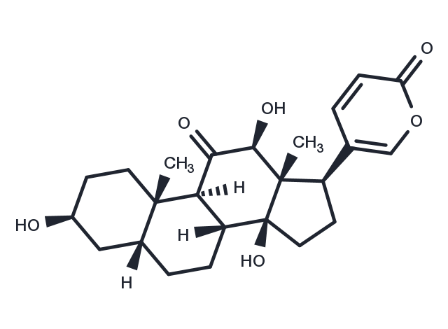 Bufarenogin Chemical Structure