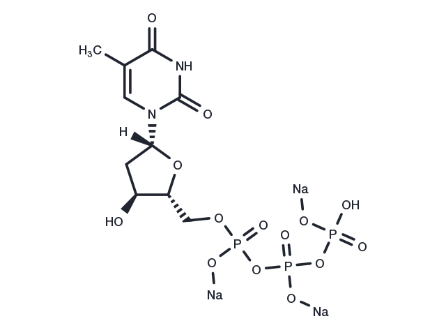 TargetMol Chemical Structure Deoxythymidine-5'-triphosphate trisodium