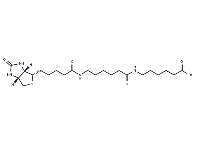 TargetMol Chemical Structure Biotin-C5-amino-C5-amino