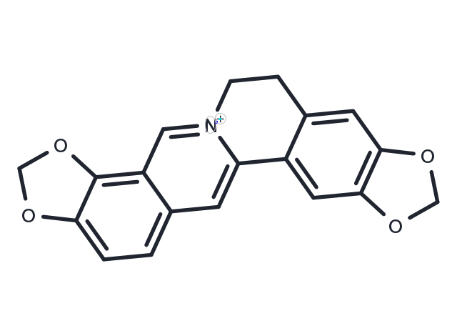 TargetMol Chemical Structure Coptisine