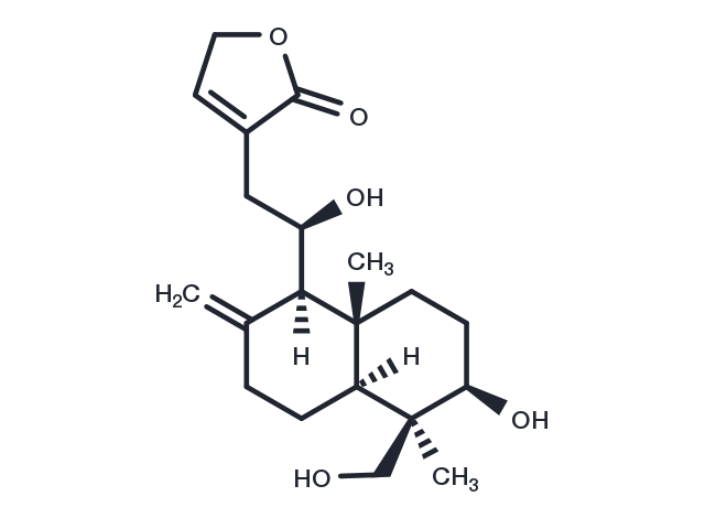 TargetMol Chemical Structure 14-Deoxy-11-hydroxyandrographolide