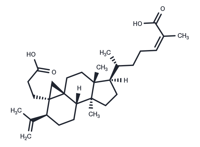 TargetMol Chemical Structure Nigranoic acid