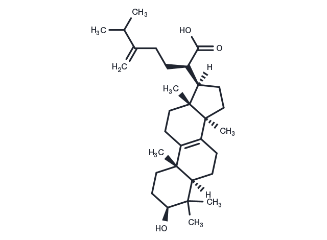 TargetMol Chemical Structure Eburicoic acid