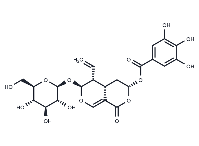 7β-Galloyloxysweroside Chemical Structure