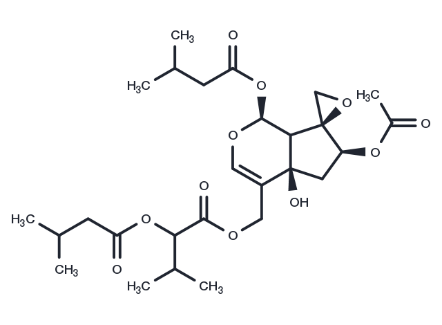 TargetMol Chemical Structure IVHD-valtrate