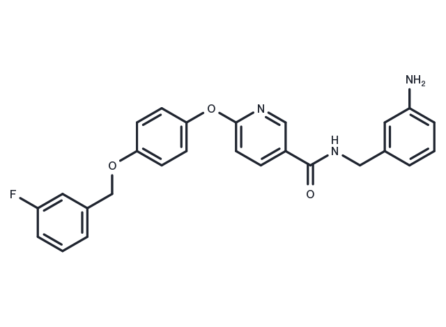 TargetMol Chemical Structure YM-244769