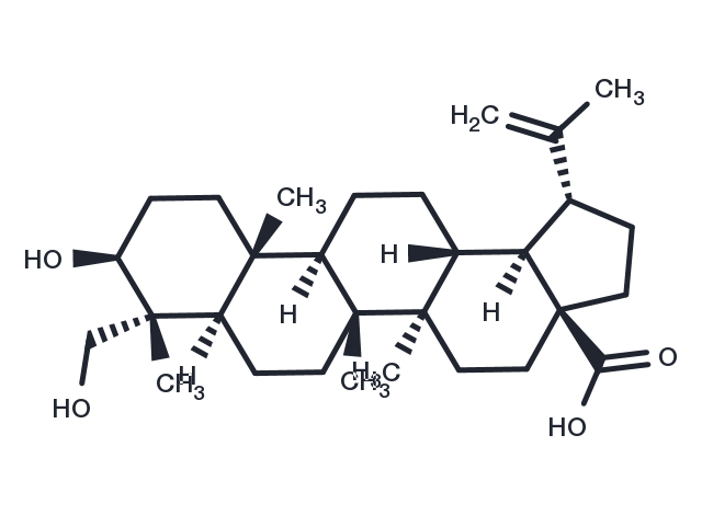 TargetMol Chemical Structure 23-Hydroxybetulinic acid