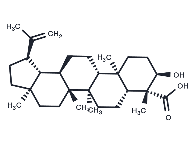 TargetMol Chemical Structure Lupeolic acid