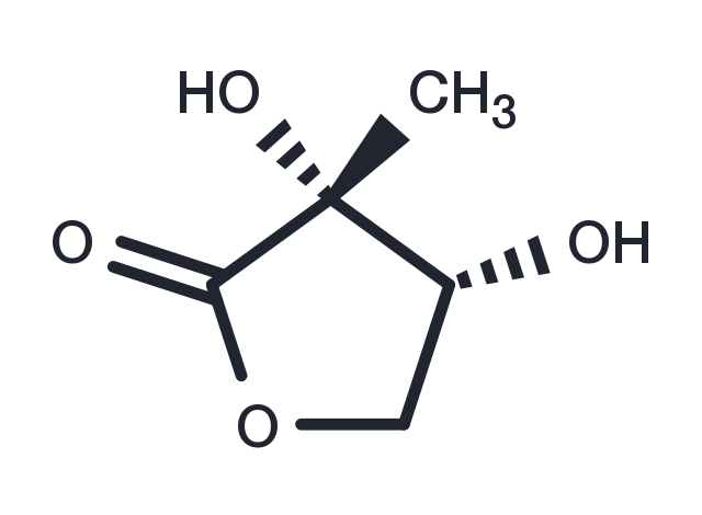 2-C-Methyl-D-erythrono-1,4-lactone Chemical Structure