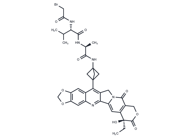 Br-Val-Ala-NH2-bicyclo[1.1.1]pentane-7-MAD-MDCPT Chemical Structure