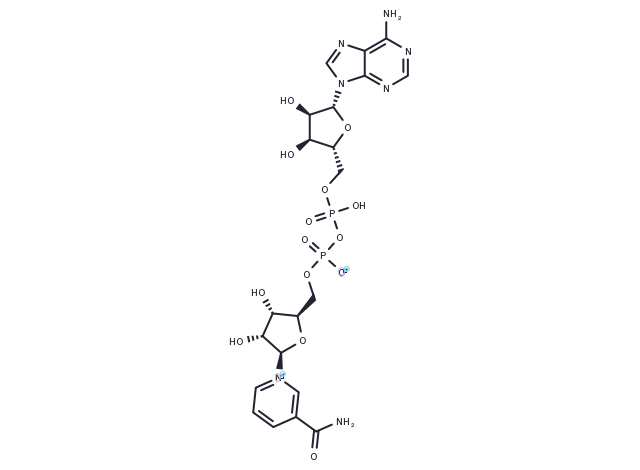 TargetMol Chemical Structure NAD+