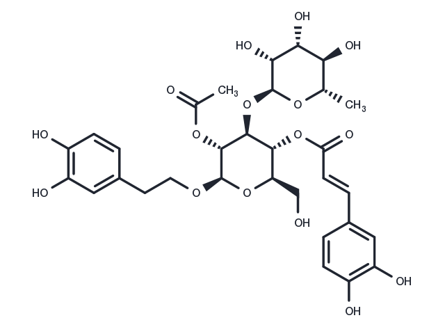 TargetMol Chemical Structure 2'-acetylacteoside