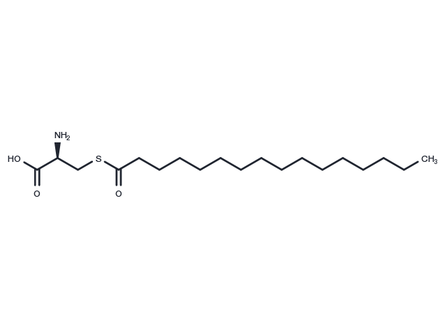 S-Palmitoyl cysteine Chemical Structure