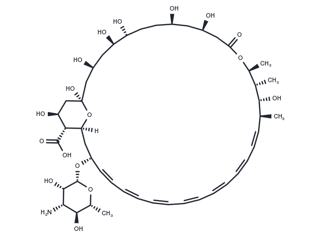 TargetMol Chemical Structure Amphotericin B
