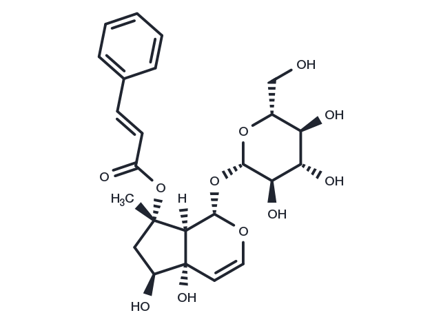 6-Epiharpagoside Chemical Structure