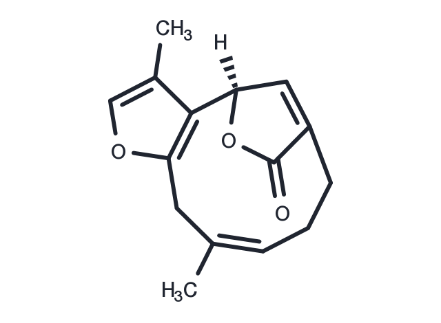 TargetMol Chemical Structure Linderalactone