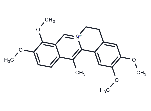 TargetMol Chemical Structure Dehydrocorydaline