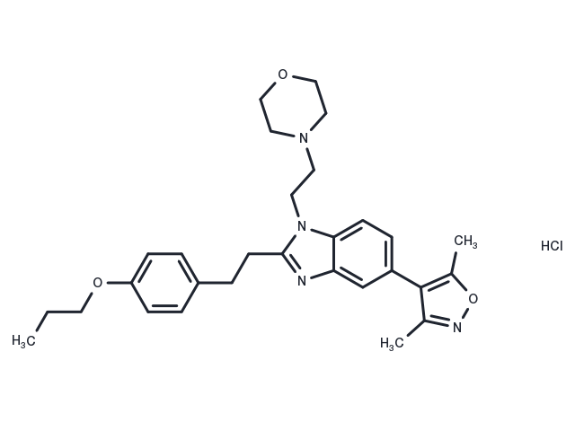 TargetMol Chemical Structure PF-CBP1 hydrochloride