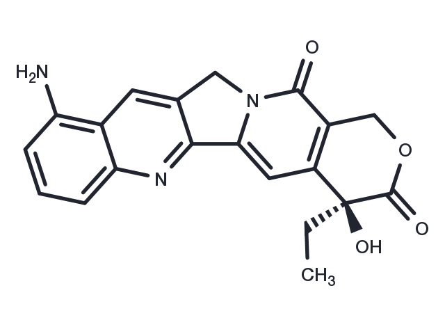 TargetMol Chemical Structure 9-amino-CPT