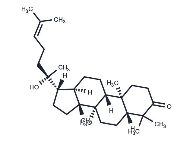 TargetMol Chemical Structure Dipterocarpol
