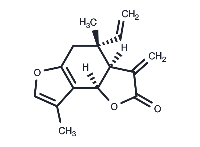 TargetMol Chemical Structure Isolinderalactone