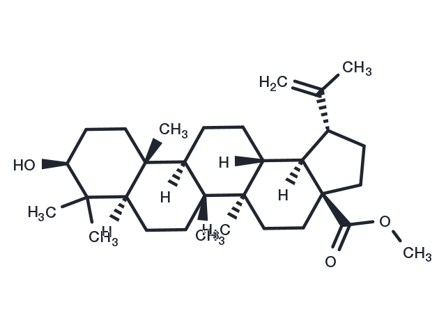TargetMol Chemical Structure Betulinic acid methyl ester