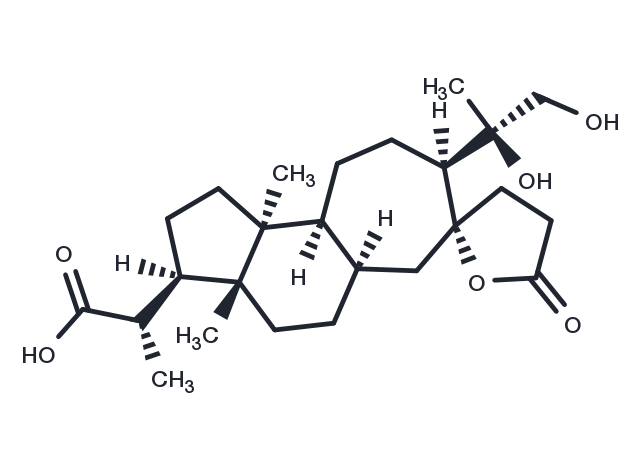 TargetMol Chemical Structure Lancifodilactone F