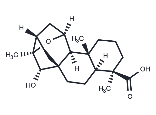 ent-11α,16α-Epoxy-15α-hydroxykauran-19-oic acid Chemical Structure