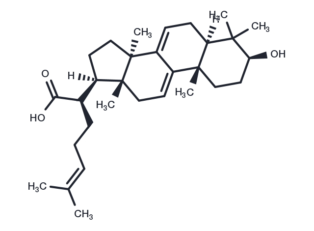 TargetMol Chemical Structure 3-Dehydrotrametenolic acid