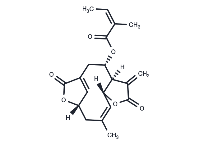TargetMol Chemical Structure Scabertopin