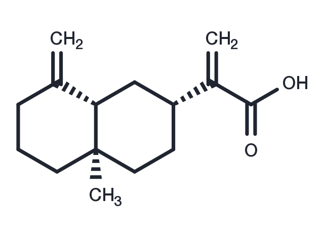 TargetMol Chemical Structure beta-Costic acid