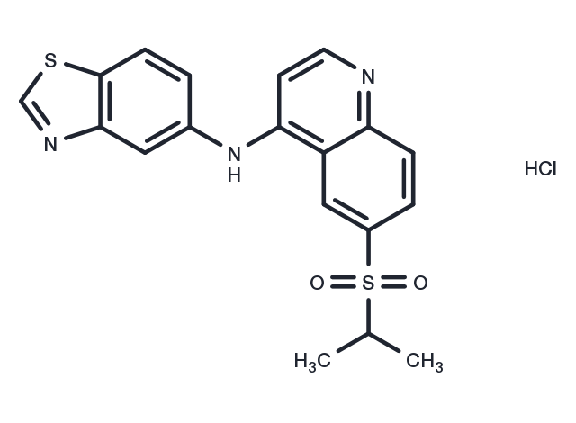 TargetMol Chemical Structure GSK872 HCl（1346546-69-7 free base）