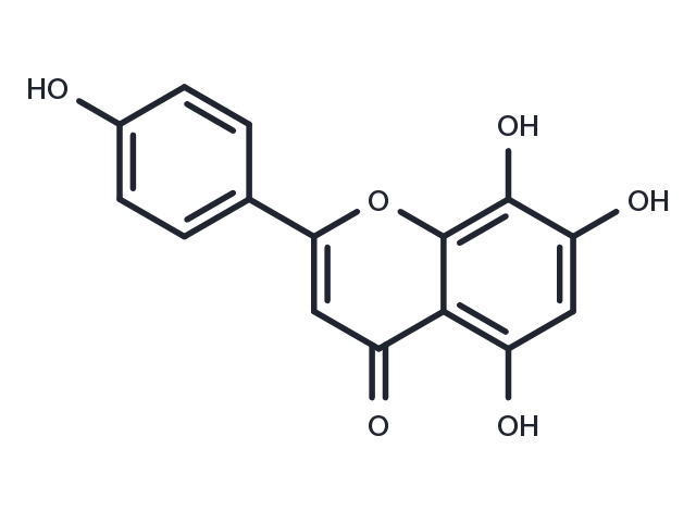 8-Hydroxyapigenin Chemical Structure