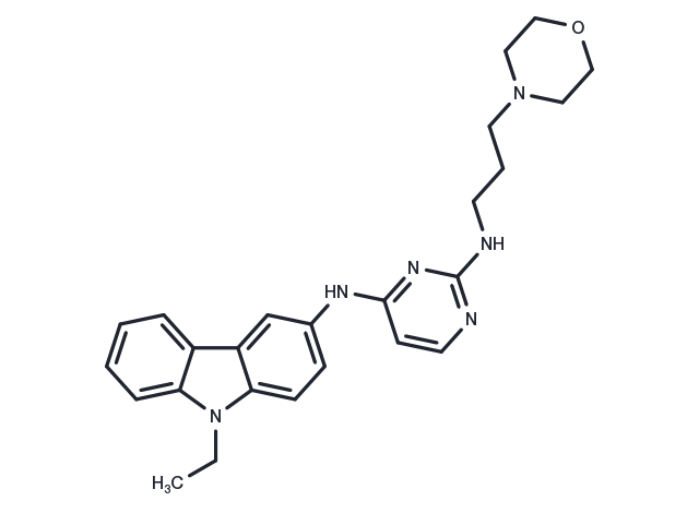 TargetMol Chemical Structure EHop-016