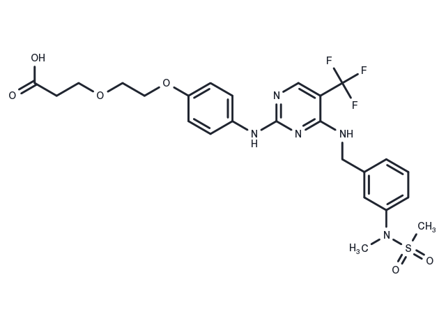 FAK ligand-Linker Conjugate 1 Chemical Structure