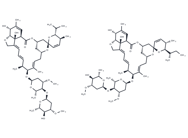 TargetMol Chemical Structure Avermectin B1