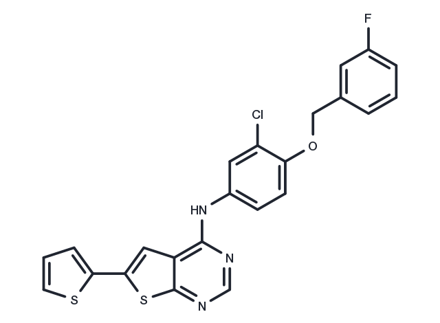 TargetMol Chemical Structure EGFR/ErbB-2 inhibitor-1