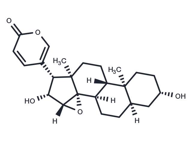 Desacetylcinobufagin Chemical Structure