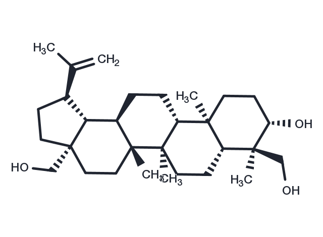 23-Hydroxybetulin Chemical Structure