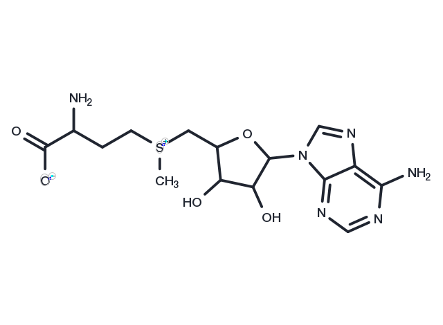 TargetMol Chemical Structure S-Adenosyl-L-methionine
