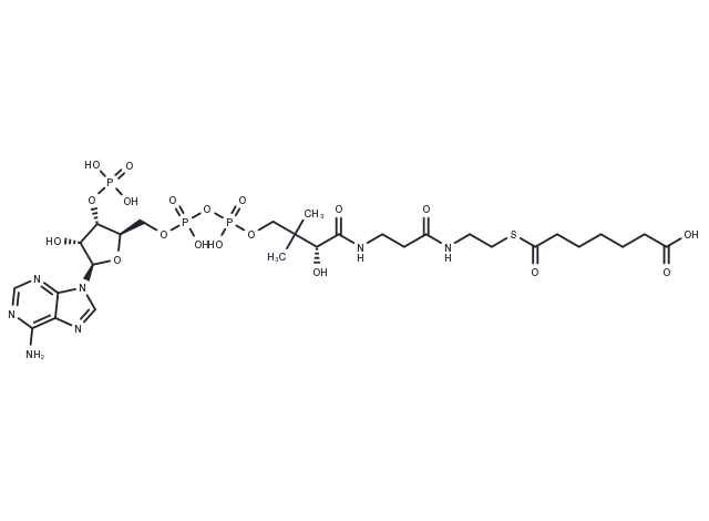 Pimeloyl-CoA Chemical Structure