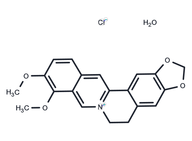 TargetMol Chemical Structure Berberine chloride hydrate