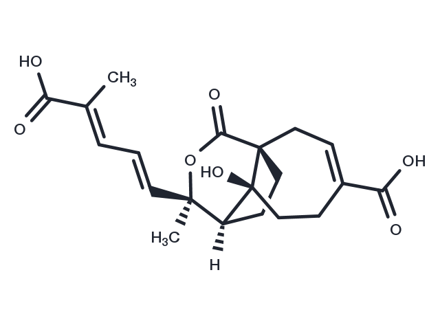 TargetMol Chemical Structure Demethoxydeacetoxypseudolaric acid B