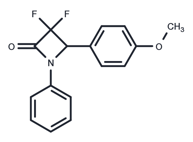 TargetMol Chemical Structure NCRW0005-F05