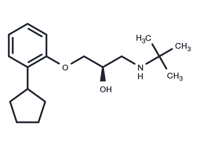 (+)-Penbutolol Chemical Structure