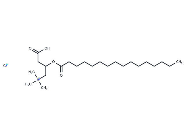 Palmitoylcarnitine chloride Chemical Structure