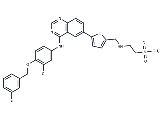 TargetMol Chemical Structure Lapatinib