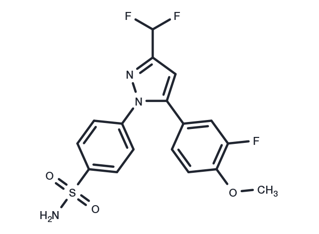 TargetMol Chemical Structure Deracoxib